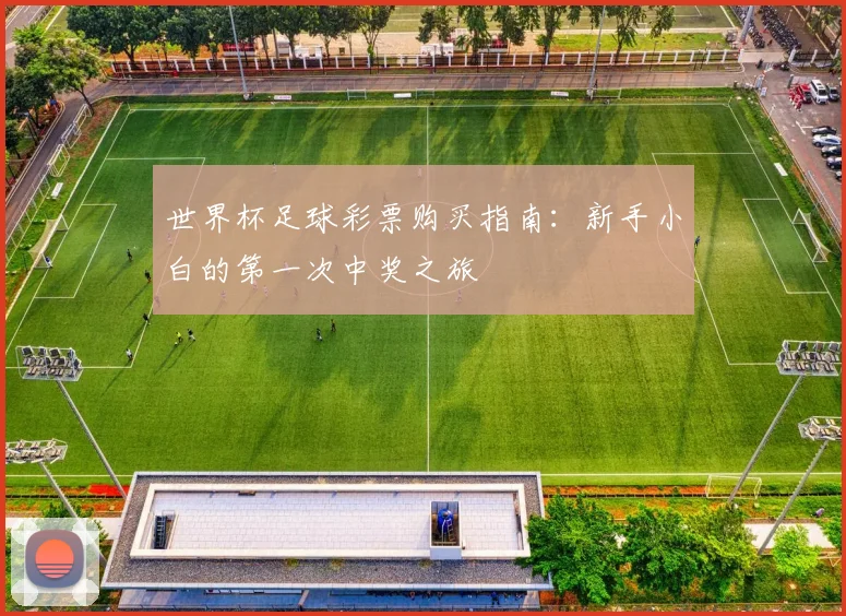 世界杯足球彩票购买指南:新手小白的第一次中奖之旅