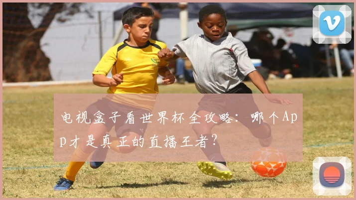 电视盒子看世界杯全攻略：哪个App才是真正的直播王者？