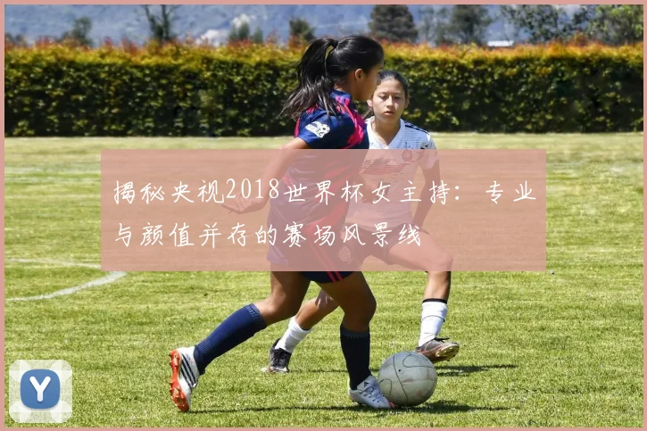 揭秘央视2018世界杯女主持：专业与颜值并存的赛场风景线