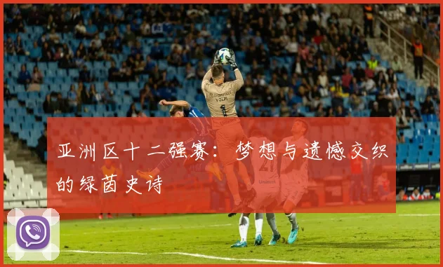亚洲区十二强赛：梦想与遗憾交织的绿茵史诗