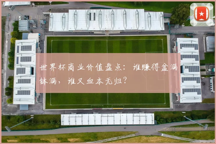 世界杯商业价值盘点：谁赚得盆满钵满，谁又血本无归？